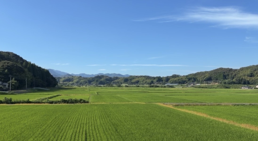 さつま町の田園風景